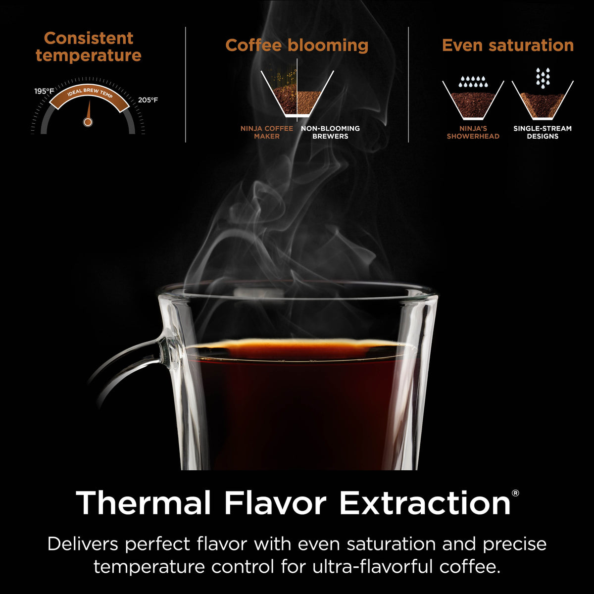 Ninja - Hot & Iced XL Coffee Maker with Rapid Cold Brew 12-cup Drip Coffee Maker & Single Serve Brewing - Black