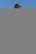 JBL - TUNE520BT wireless on-ear headphones - 2024 - White