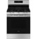 GE - 30 in. Wide 5 Burners 5.3 Cu. Ft. Freestanding Gas Convection Range with Steam Cleaning and EasyWash Oven Tray - Stainless Steel