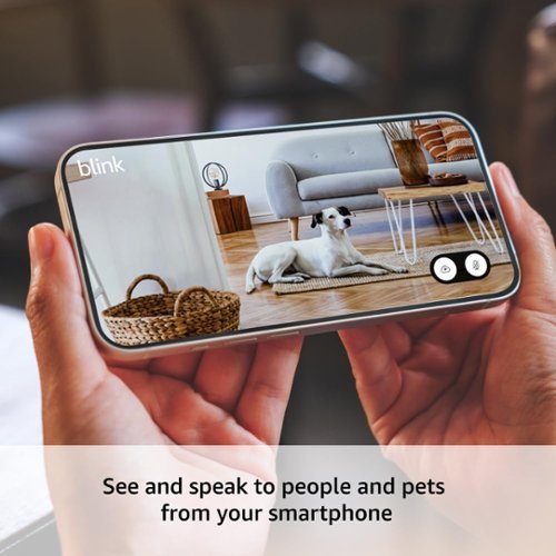 Blink - Mini 2 - Home Security & Pet Camera(s) with HD video, color night view, motion detection, two-way audio - 2 cam - White