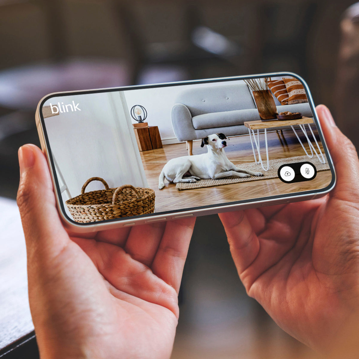 Blink - Mini 2 - Home Security & Pet Camera(s) with HD video, color night view, motion detection, two-way audio - 1 cam - White