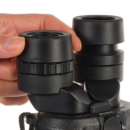 Fujinon - Techno-Stabi TS16x28WP Compact Binoculars with Electronic Stabilization - Black