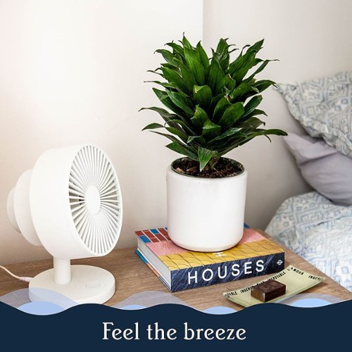 Windmill - Smart Whisper-Quiet Air Circulator and Fan with 5 speeds and Remote - Marine