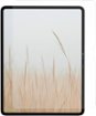Insignia™ - Glass Screen Protector for iPad Air 13" (M2) and iPad Pro 13" (M4) - Clear