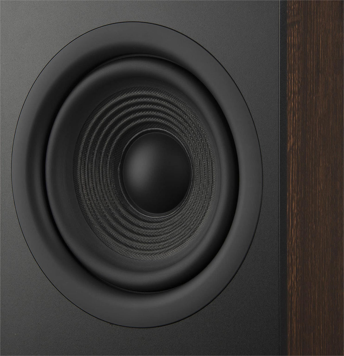JBL - Stage2 260F 2.5-Way Dual 6.5-inch (165mm) Floorstanding Loudspeaker - Each - Espresso