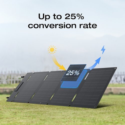 EcoFlow - Foldable 45W Solar Panel - Black