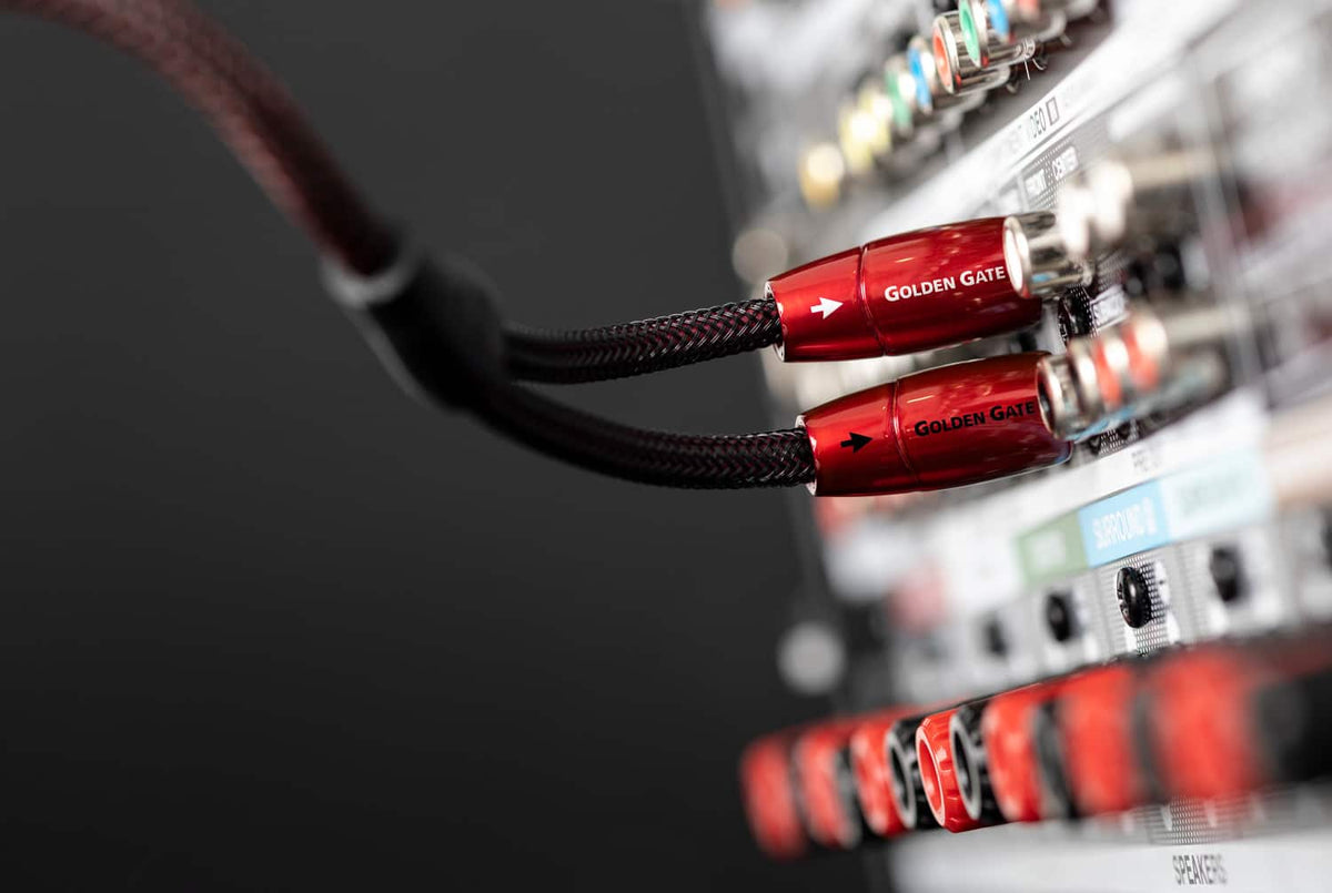 AudioQuest - Golden Gate RCA > RCA 3.3' Analog Audio Interconnect Cable - Red on Black