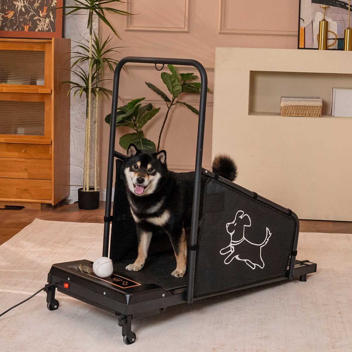 Cinta de correr para perros medianos con correa antideslizante y control remoto - Negro