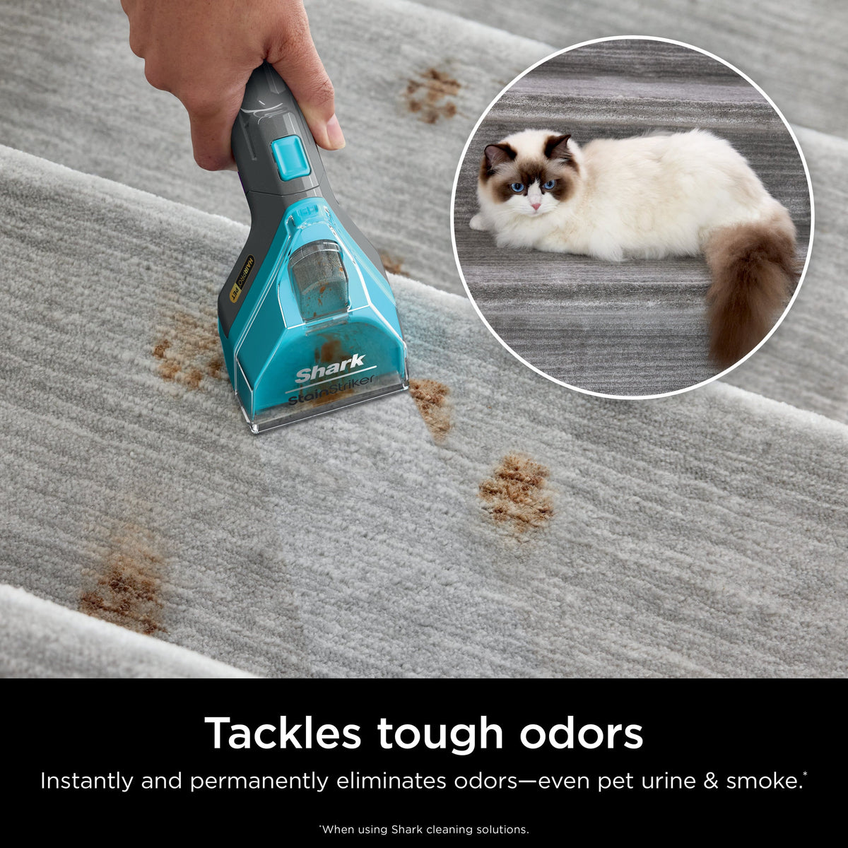 Shark - Deep Clean Pet Formula, 48oz - White