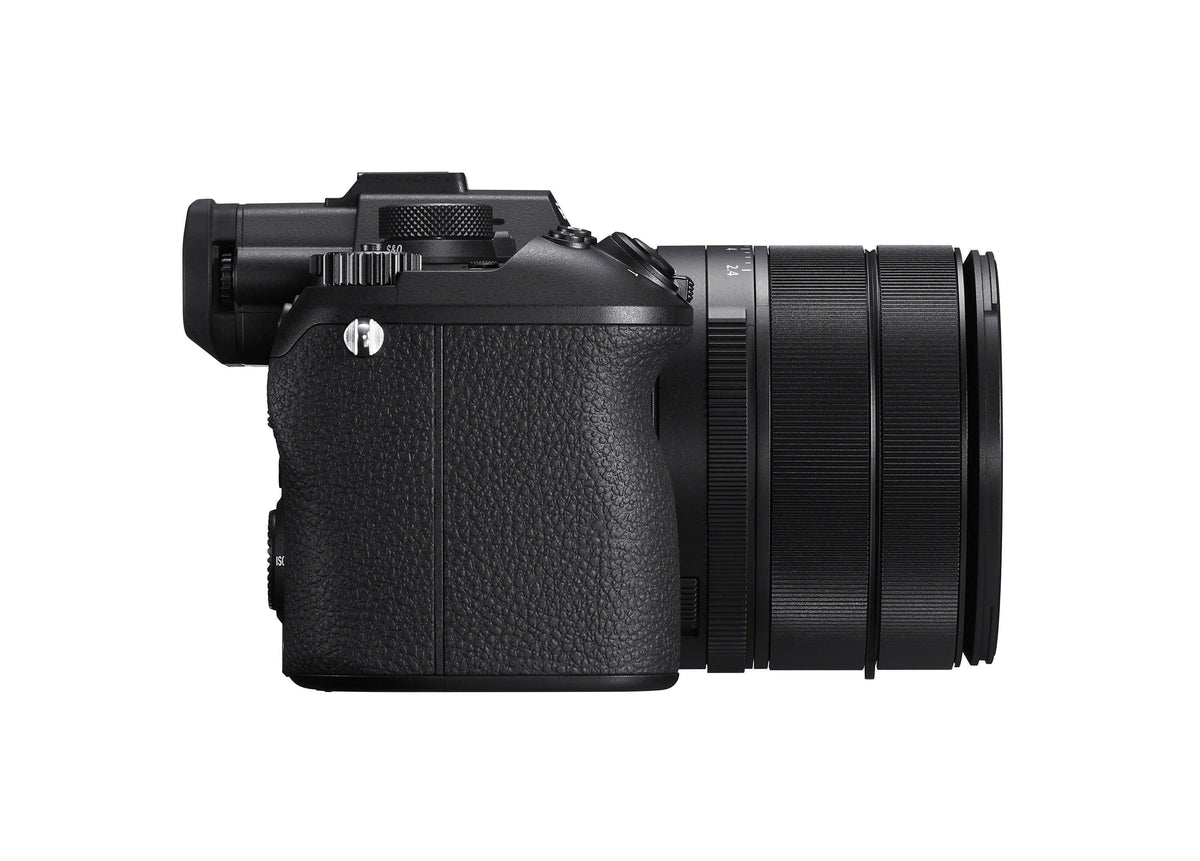 Sony - DSC-RX10M5 - Black