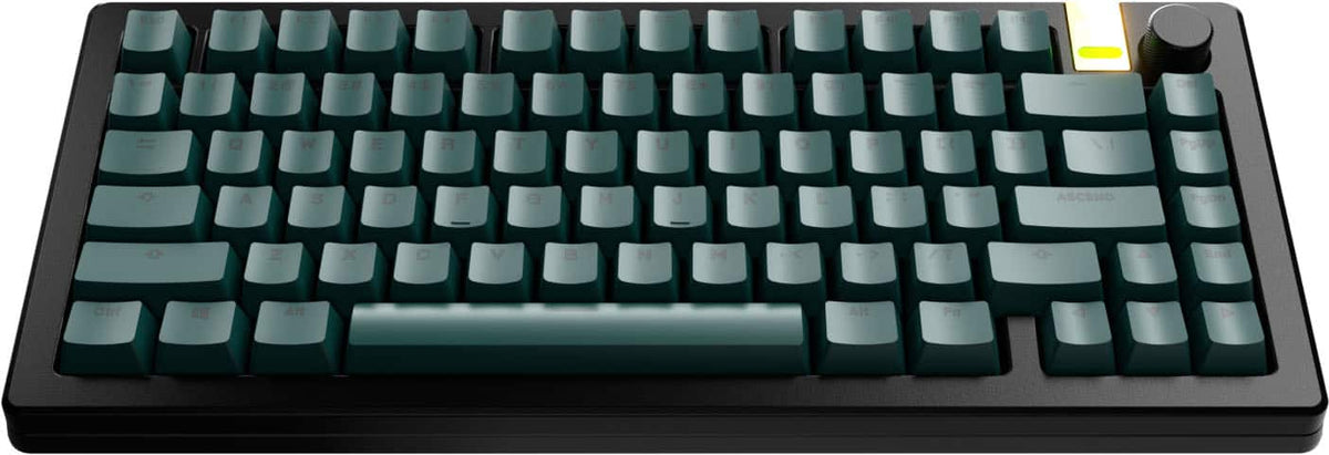 Glorious - GPBT Basics Universal Keycap Set Compatible with Most 100% 85% 80% TKL 60% Compact 75% Mechanical Keyboards - Totem Green