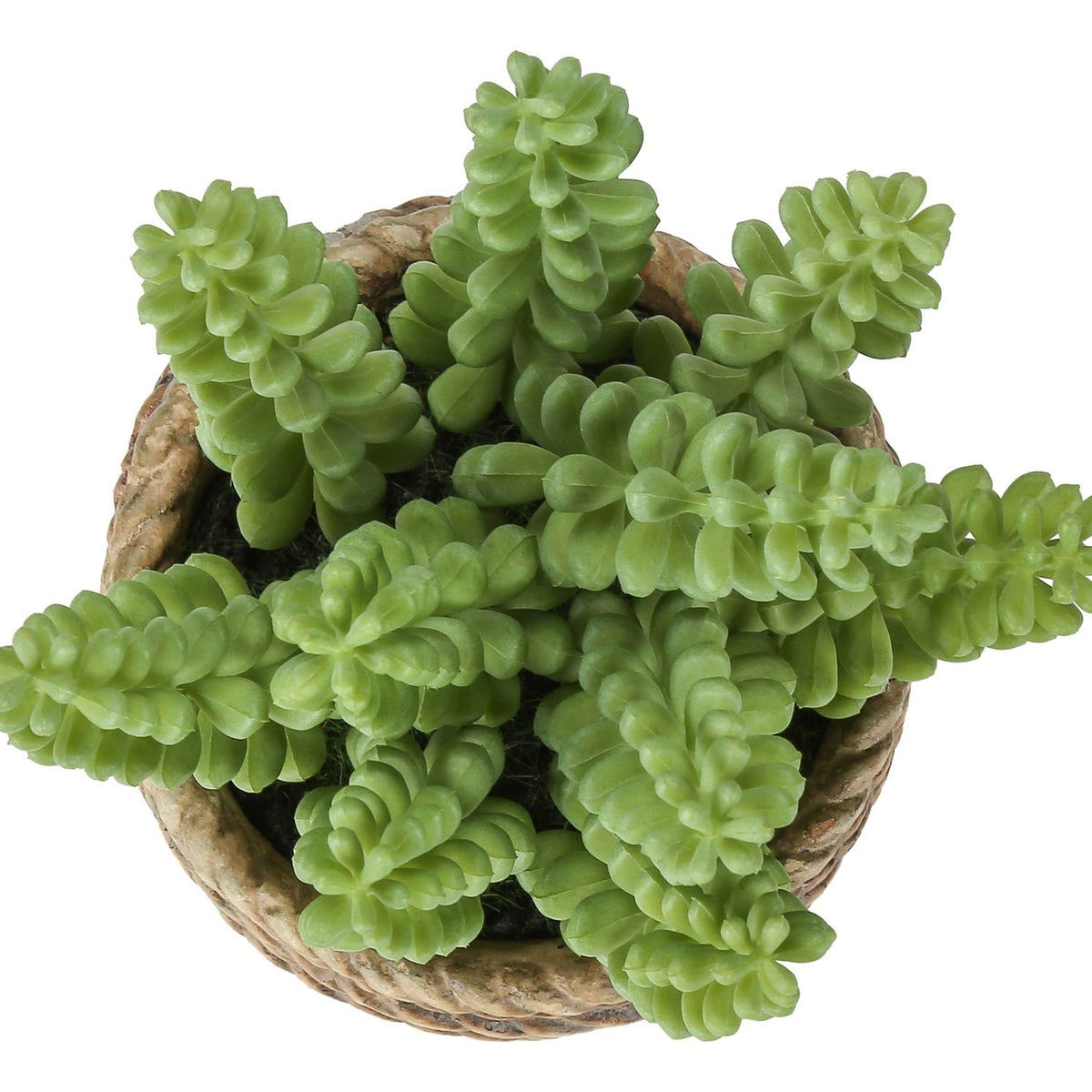 Suculenta artificial, decoración de mesa (juego de 2) - Verde / Marrón claro - Plástico