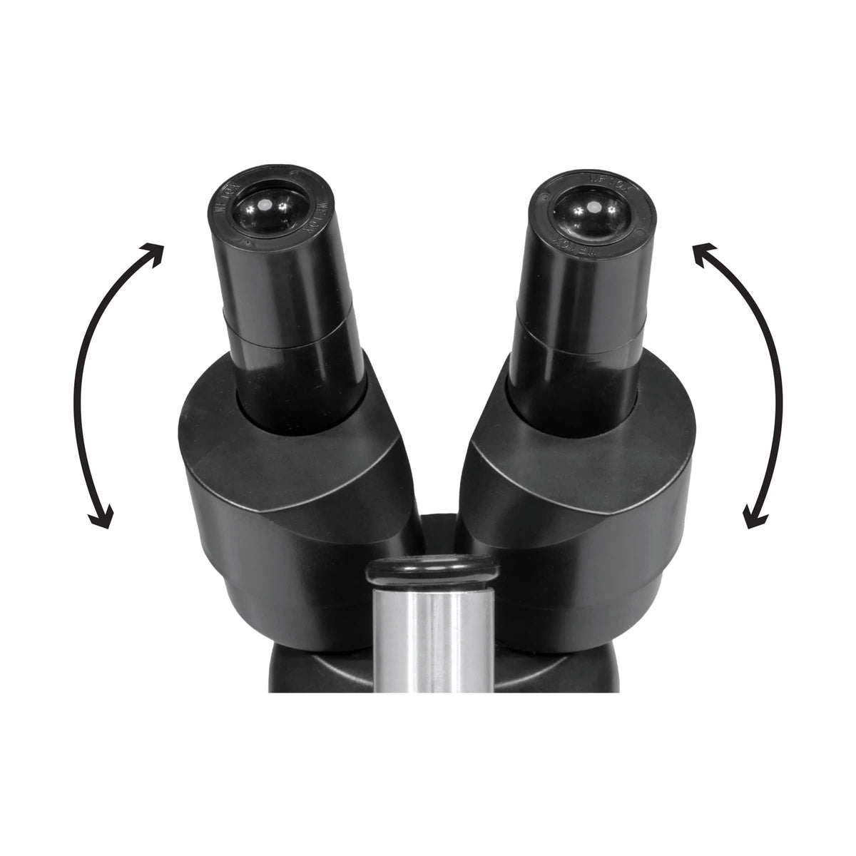 National Geographic - 20x Stereo Microscope - White