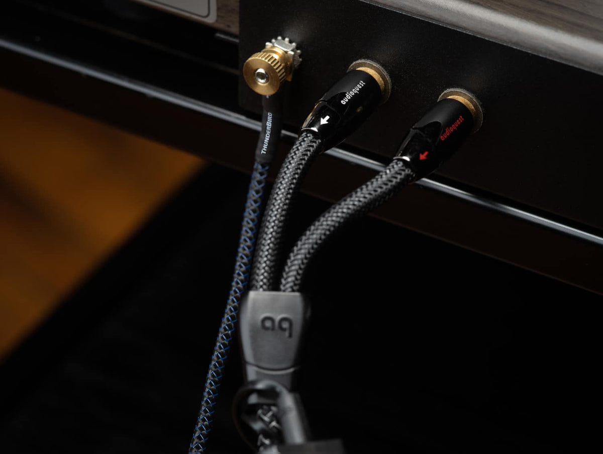AudioQuest - Angel RCA > RCA 6.6' Analog Audio Interconnect Cable - Silver on Black