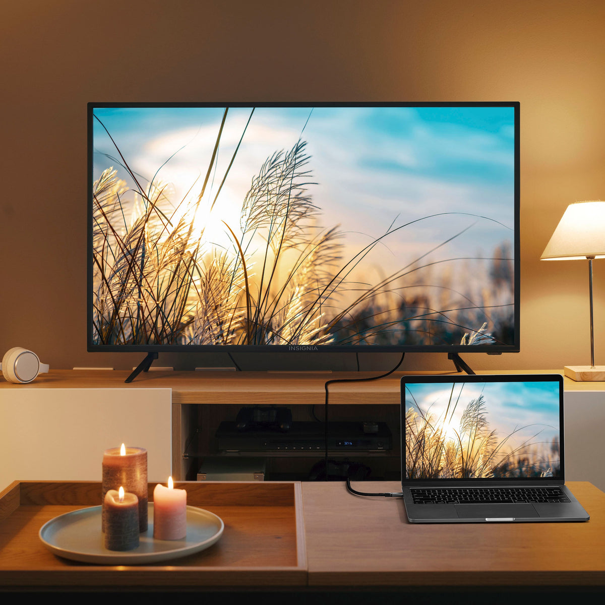 Insignia™ - 6 ft. USB-C to DisplayPort Cable - Black