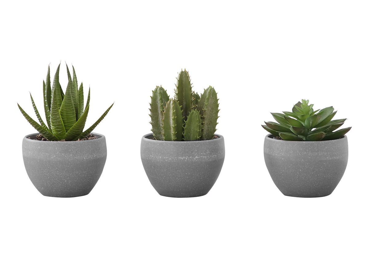 Plantas Suculentas Artificiales (Juego de 3)