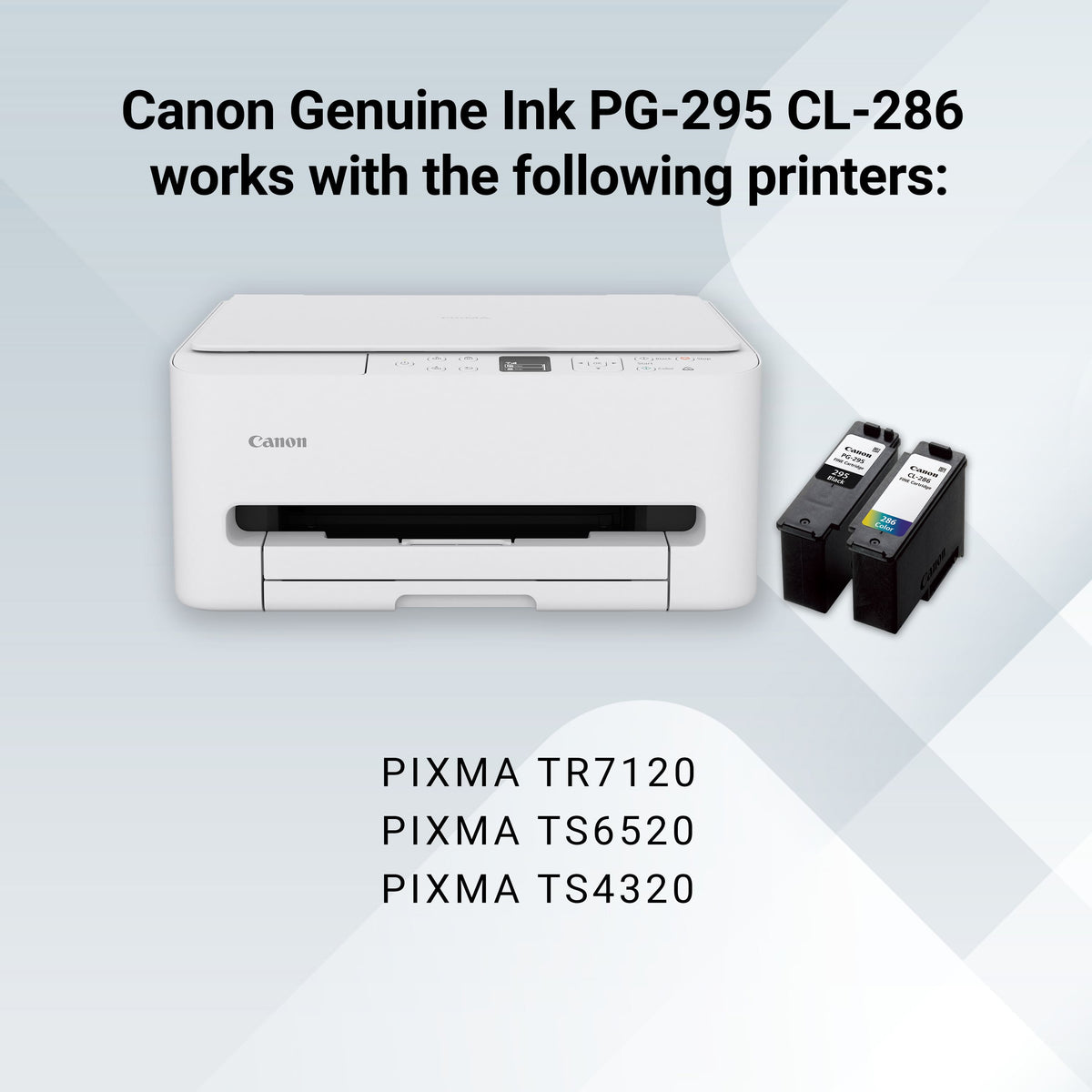 Canon - PG-295 AMR Standard Yield Ink Cartridge - Black