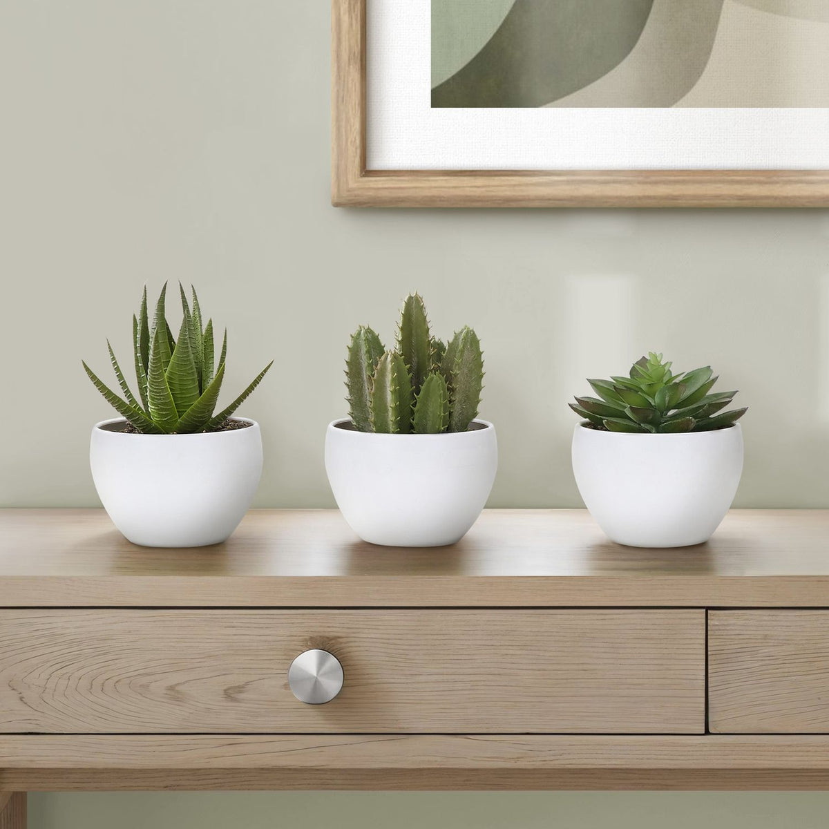 Plantas Suculentas Artificiales (Juego de 3)