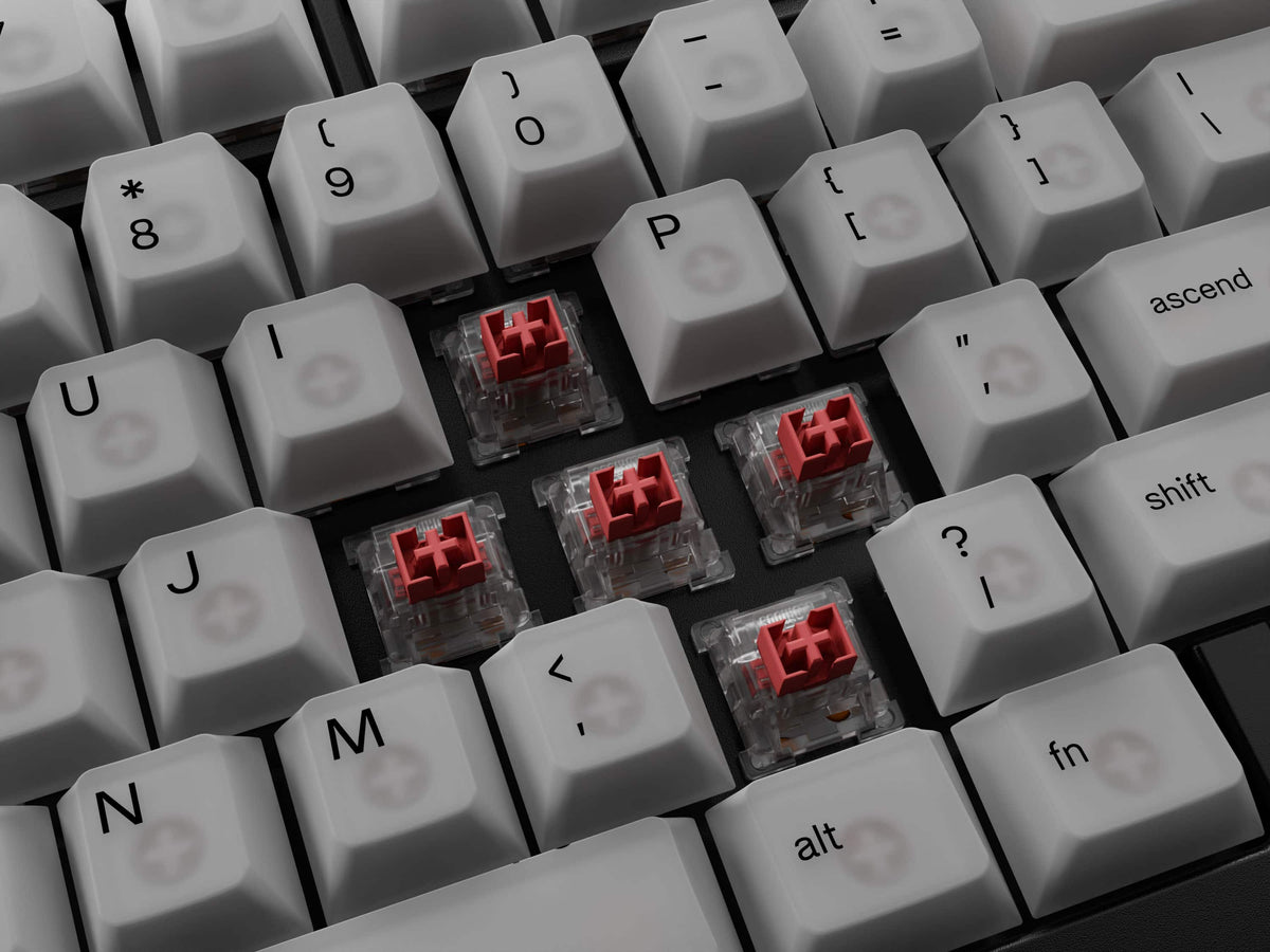 Glorious - Polychroma Translucent Universal RGB Keycaps for 100% 85% 80% TKL 60% Compact 75% Mechanical Keyboards - Translucent V2