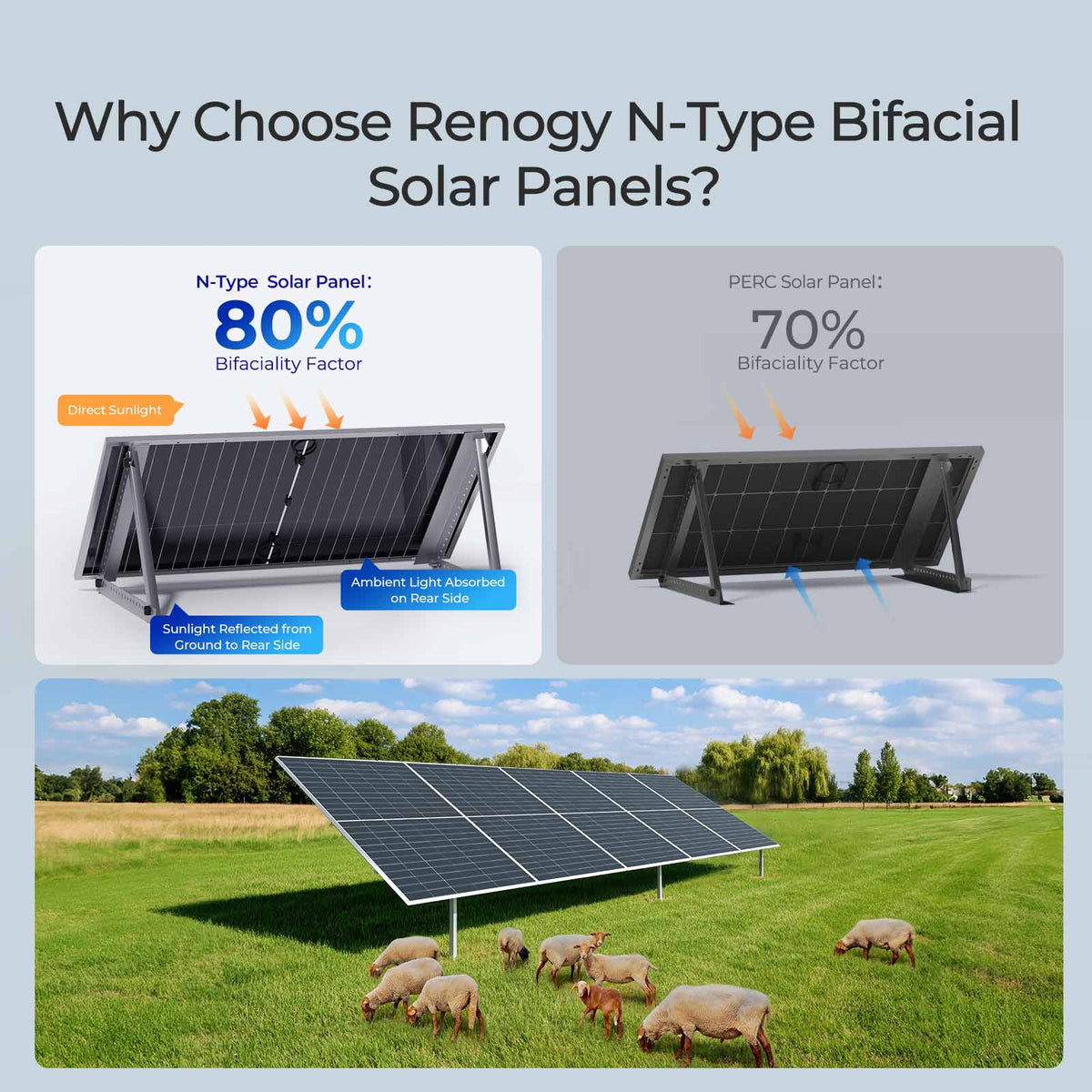 Renogy - 2pcs 590-Watt Bifacial 12V 16BB N-Type Monocrystalline Solar Panel 1180W Back-up Power for Off-Grid RV, High Efficiency - Black