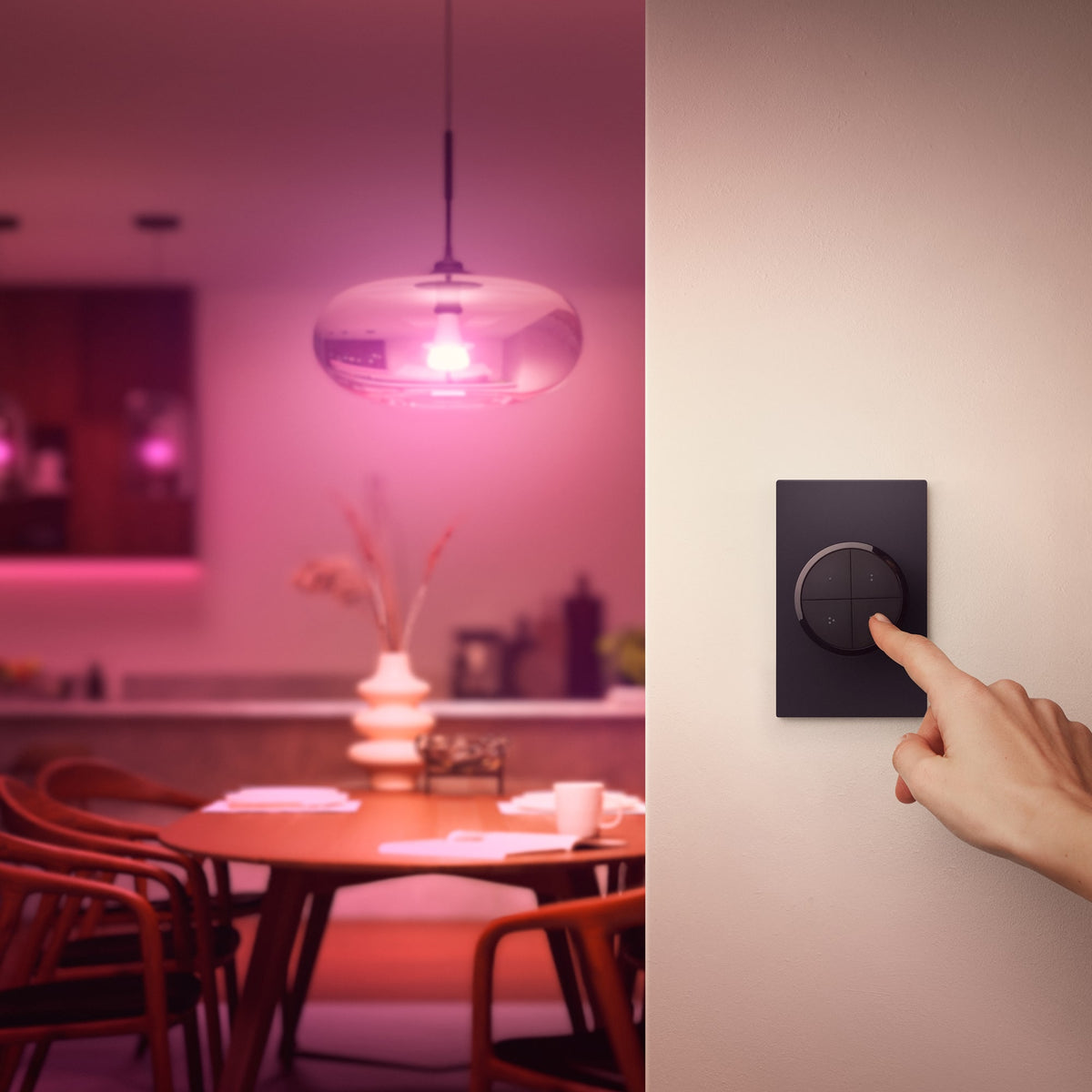 Philips - Hue Tap Dial Switch - Black