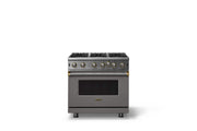 Viking - 30"W. 5.1 Cu. Ft. Freestanding Self-Clean Open Burner Gas Convection Range - Damascus Gray w. Brushed Brass Trim - Damascus Gray