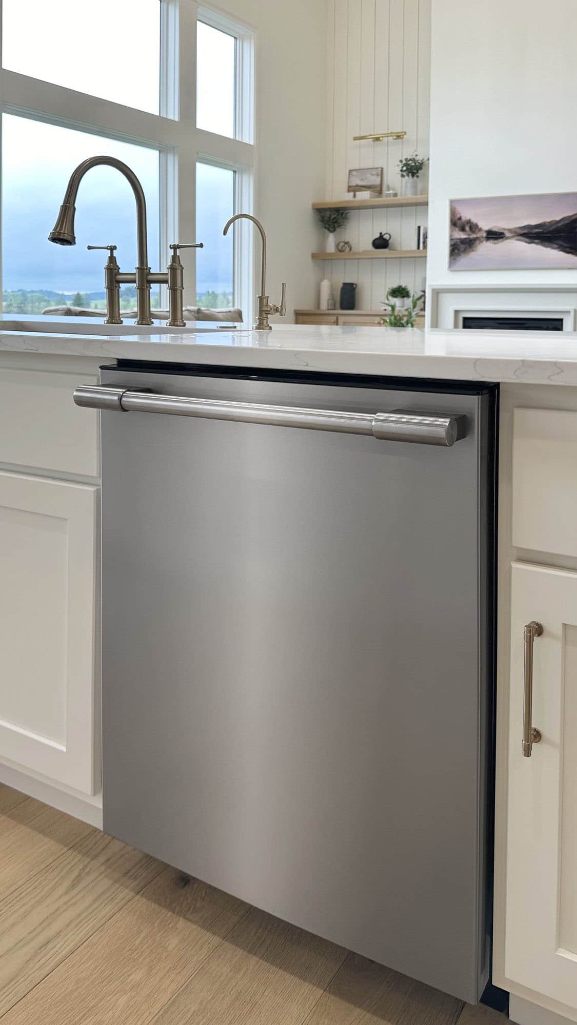 Frigidaire - Professional 24" Stainless Steel Tub Built-In Dishwasher with CleanBoost technology - Stainless Steel