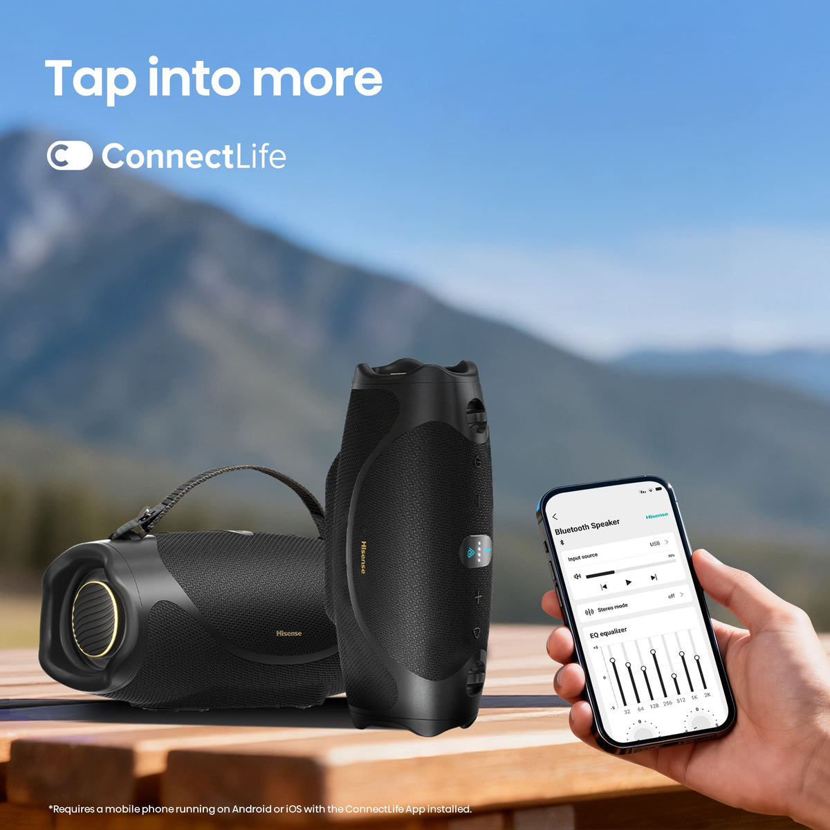 Hisense - Portable Speaker - Black