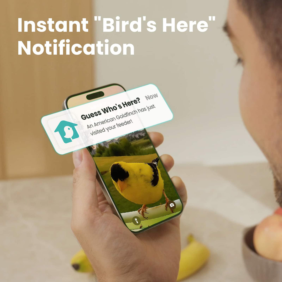 BIRDFY - Smart Bird Feeder with Camera, Durable Metal Bird Feeders for Outdoors, AI Identify Bird Species - Green