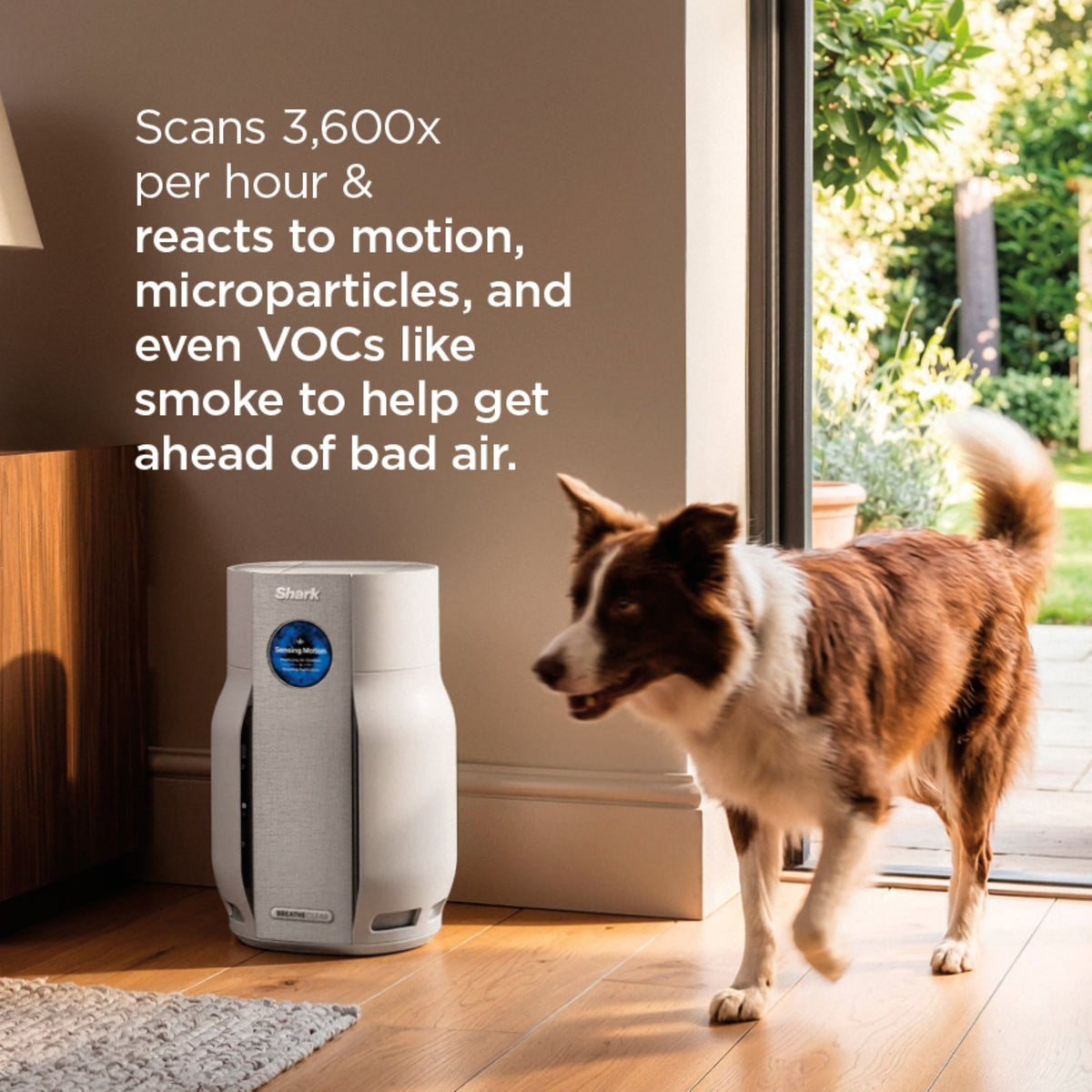 Shark - BreatheClear Air Purifier with NeverChange, 750 sqft - Dove