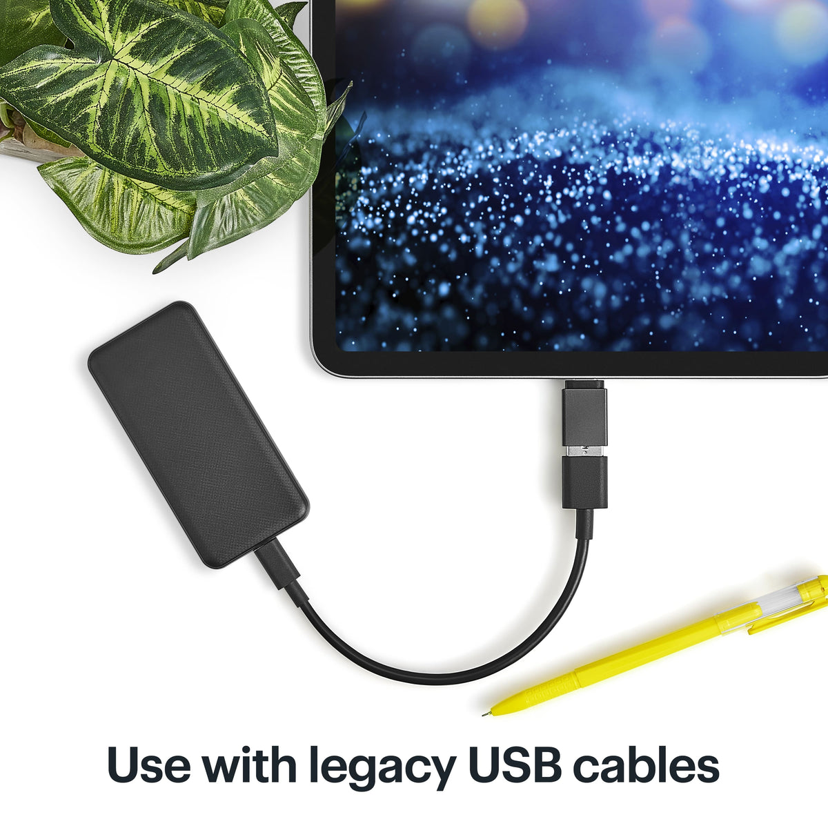 Best Buy essentials™ - USB-C Male to USB Female Adapter (2-Pack) - Black