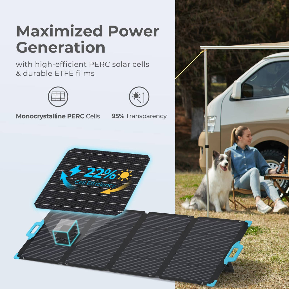 Renogy - 220 Watt Portable Solar Panel - Black