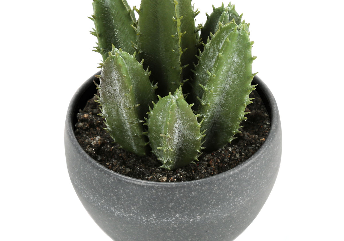 Plantas Suculentas Artificiales (Juego de 3)
