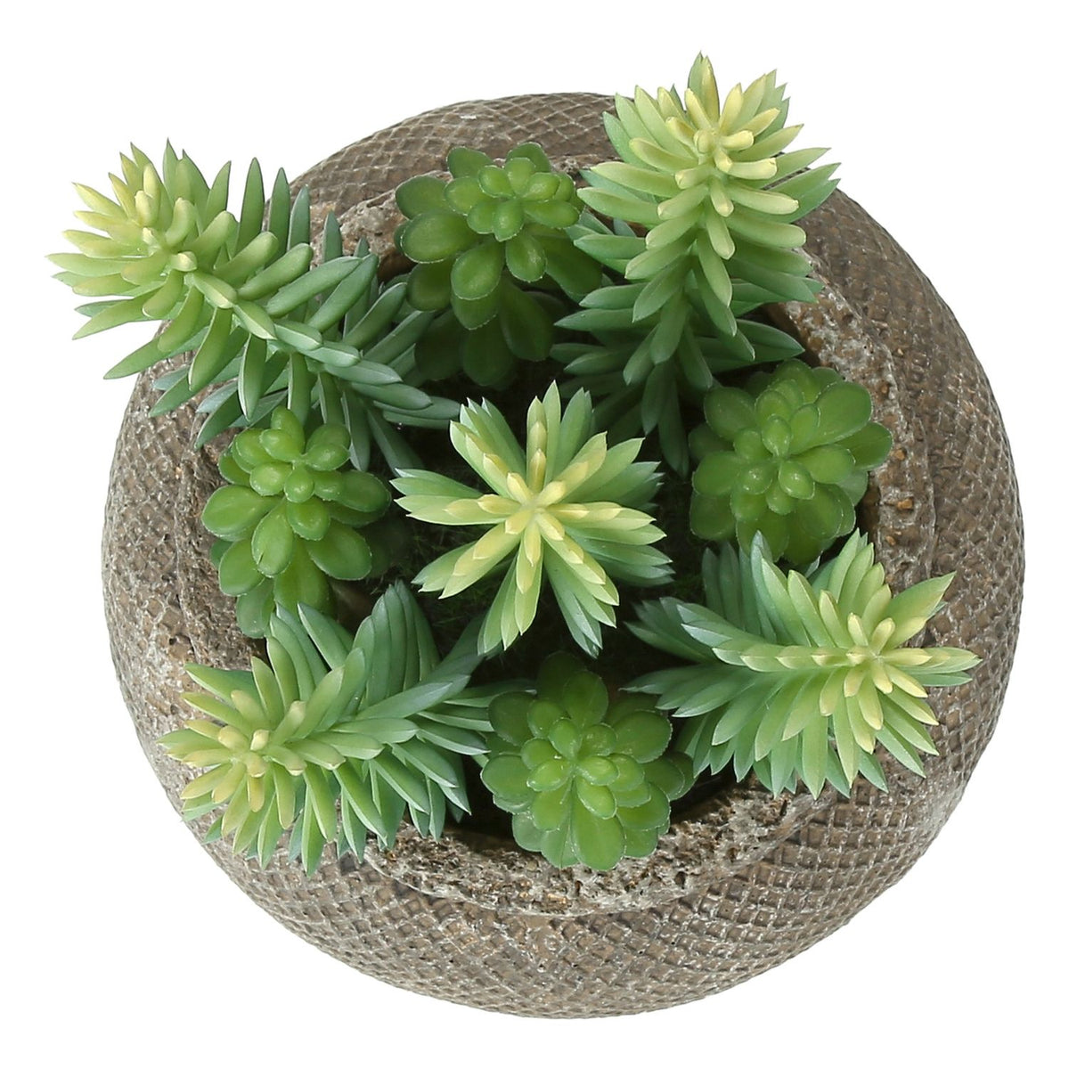 Suculenta artificial, decoración de mesa (juego de 2) - verde / marrón