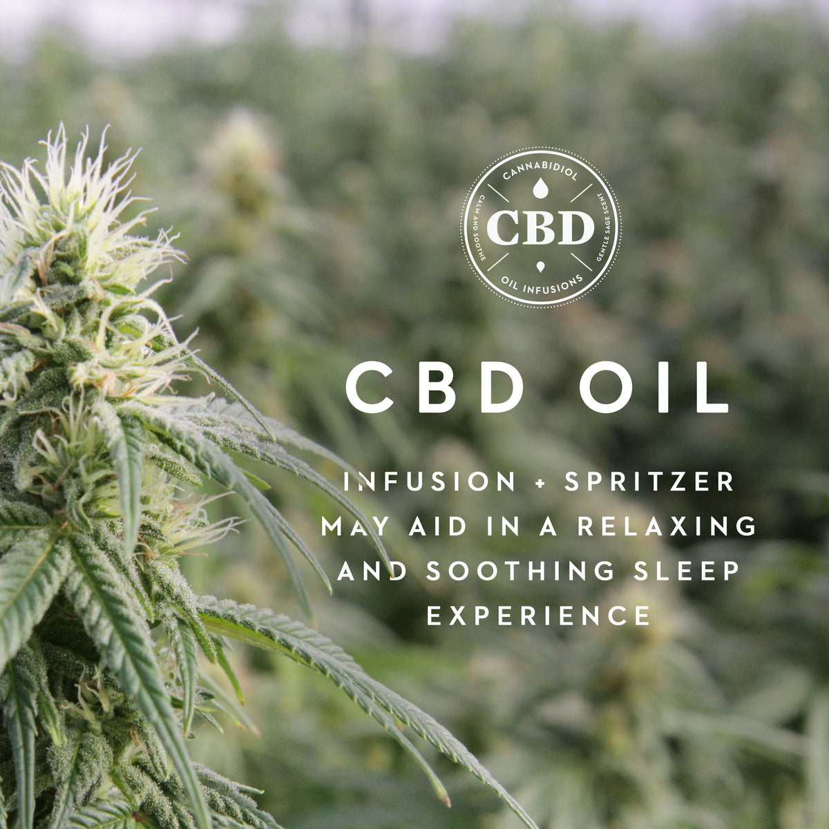 Zoned ActiveDough + Cannabidiol Infusion - Pillow