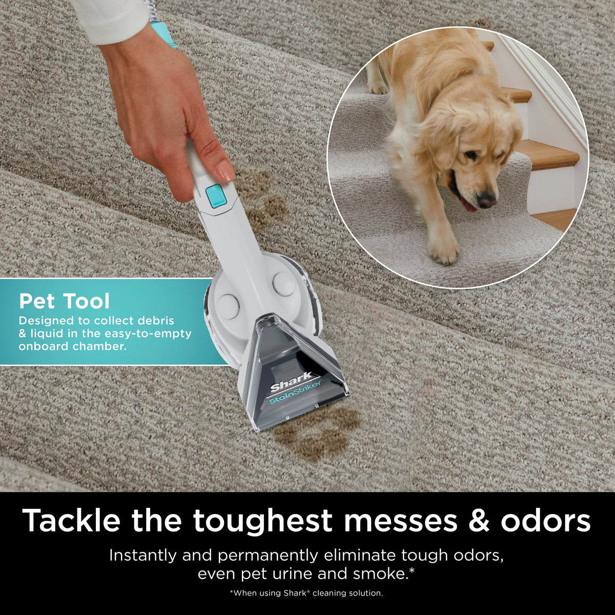 Shark - StainStriker Portable Carpet & Upholstery Cleaner - Spot, Stain, & Odor Eliminator - White