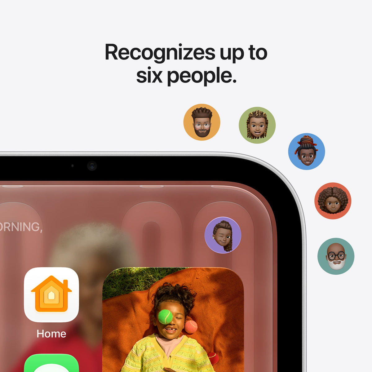 Apple - HomeView - Silver