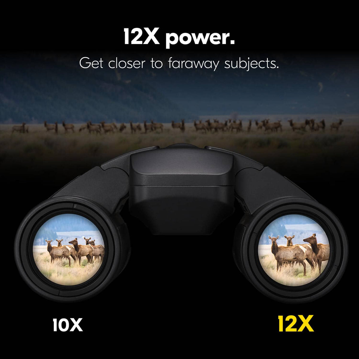 Nikon - STABILIZED 12x25 S - Black
