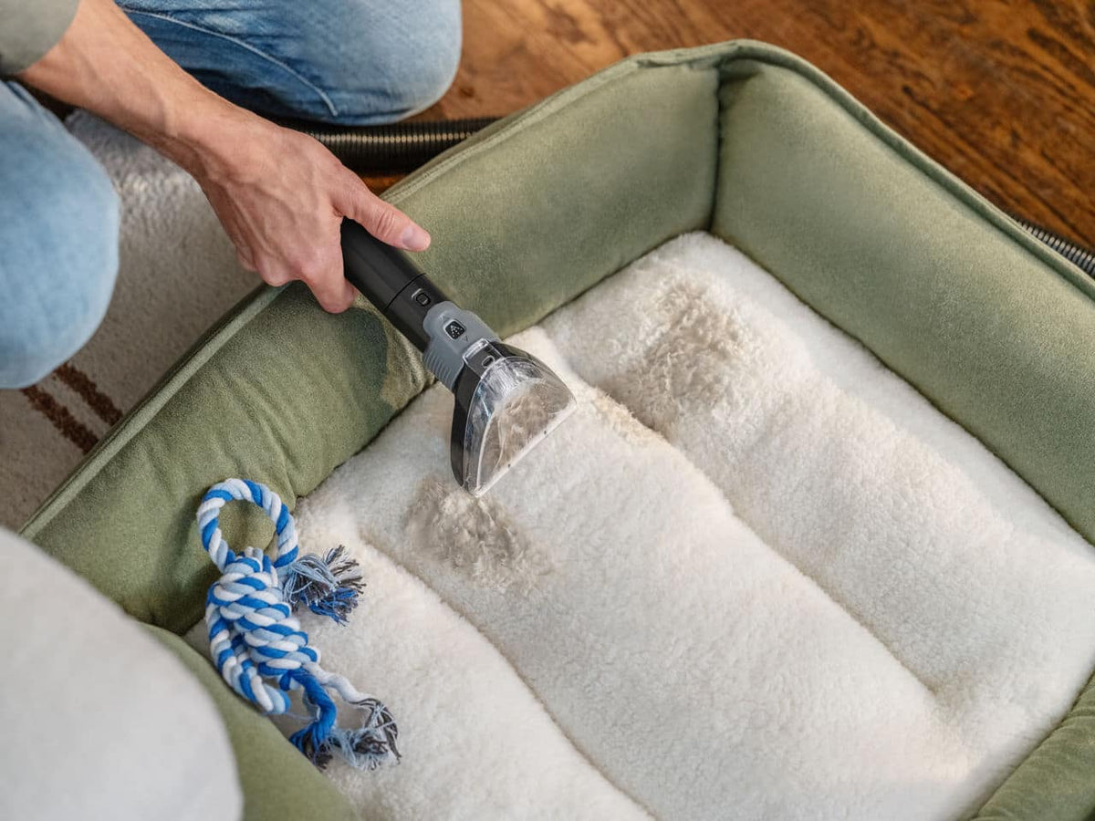 BISSELL - Little Green ProHeat Pet Portable Carpet Cleaner - Wasabi