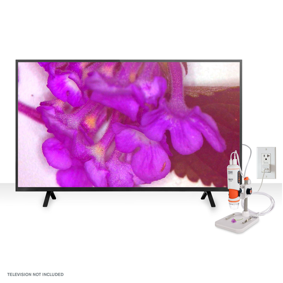 Celestron - Labs Digital MicroDirect Microscope - White