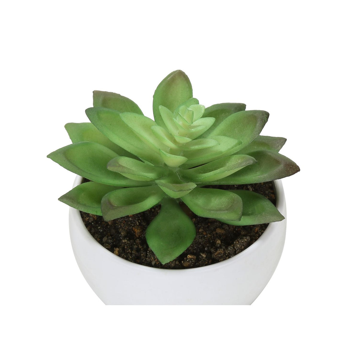 Plantas Suculentas Artificiales (Juego de 3)