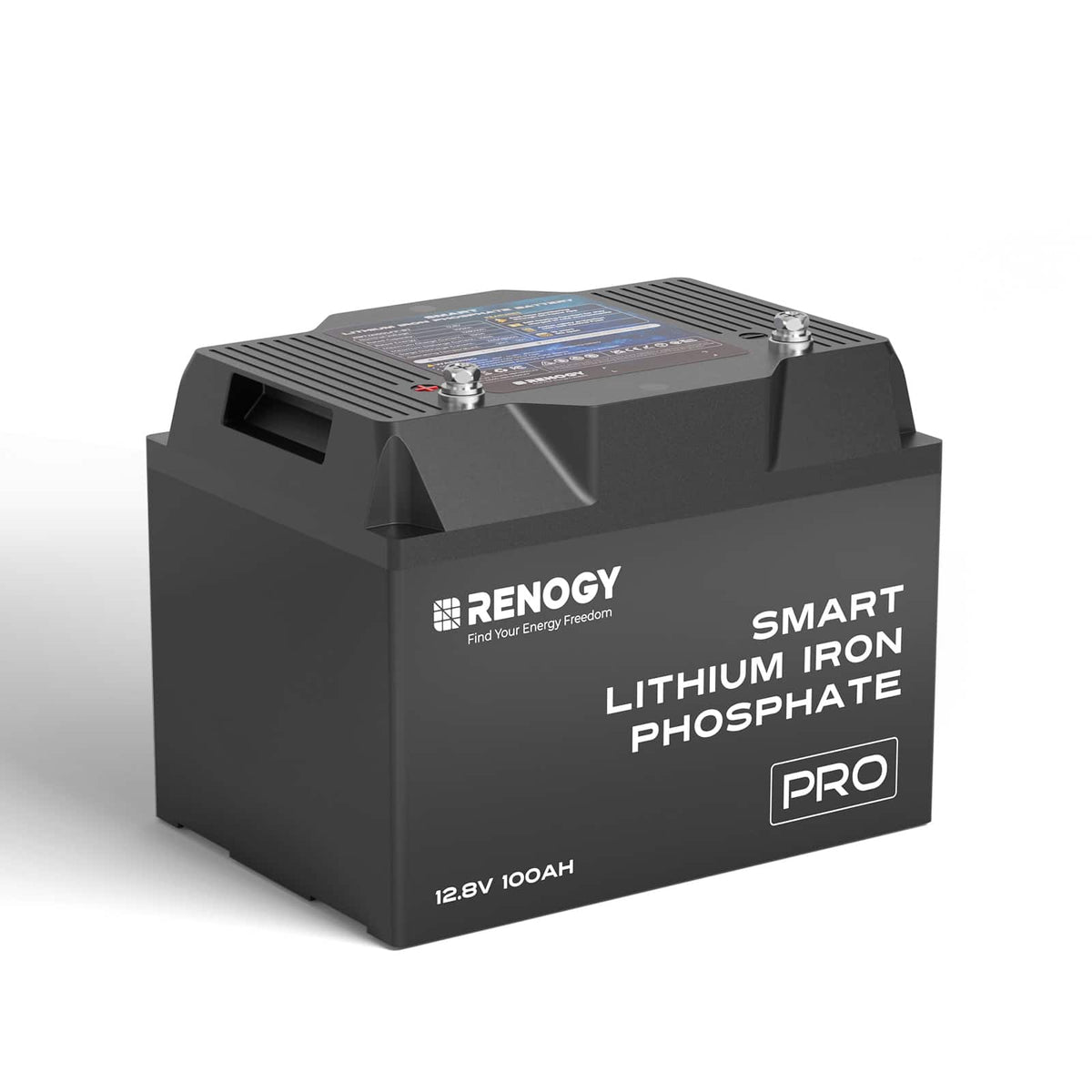 Renogy - 12V 100Ah Pro Smart Lithium Iron Phosphate Battery with Bluetooth & Self-Heating Function