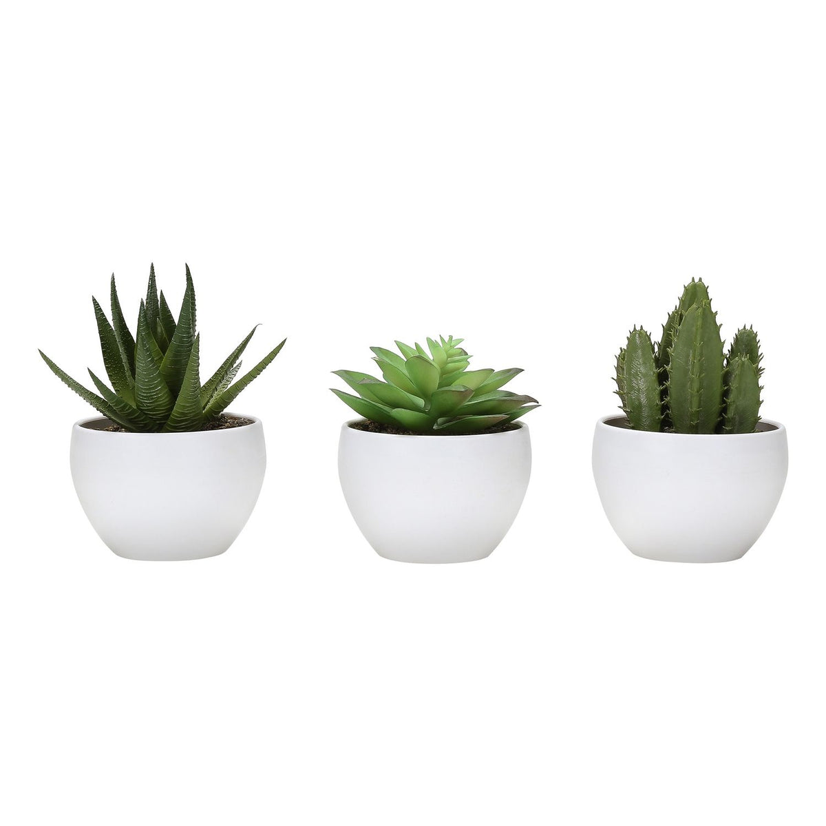 Plantas Suculentas Artificiales (Juego de 3)