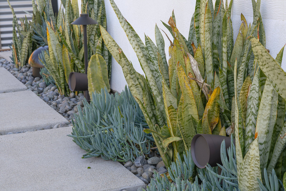 Sonance - MAG6.1 - Mag Series 6.1-Ch. Landscape Outdoor Speaker System Powered by Sonos (Each) - Brown/Black