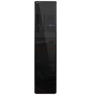 GE Profile - Steam Closet with Fabric Refresh - Mirrored Carbon