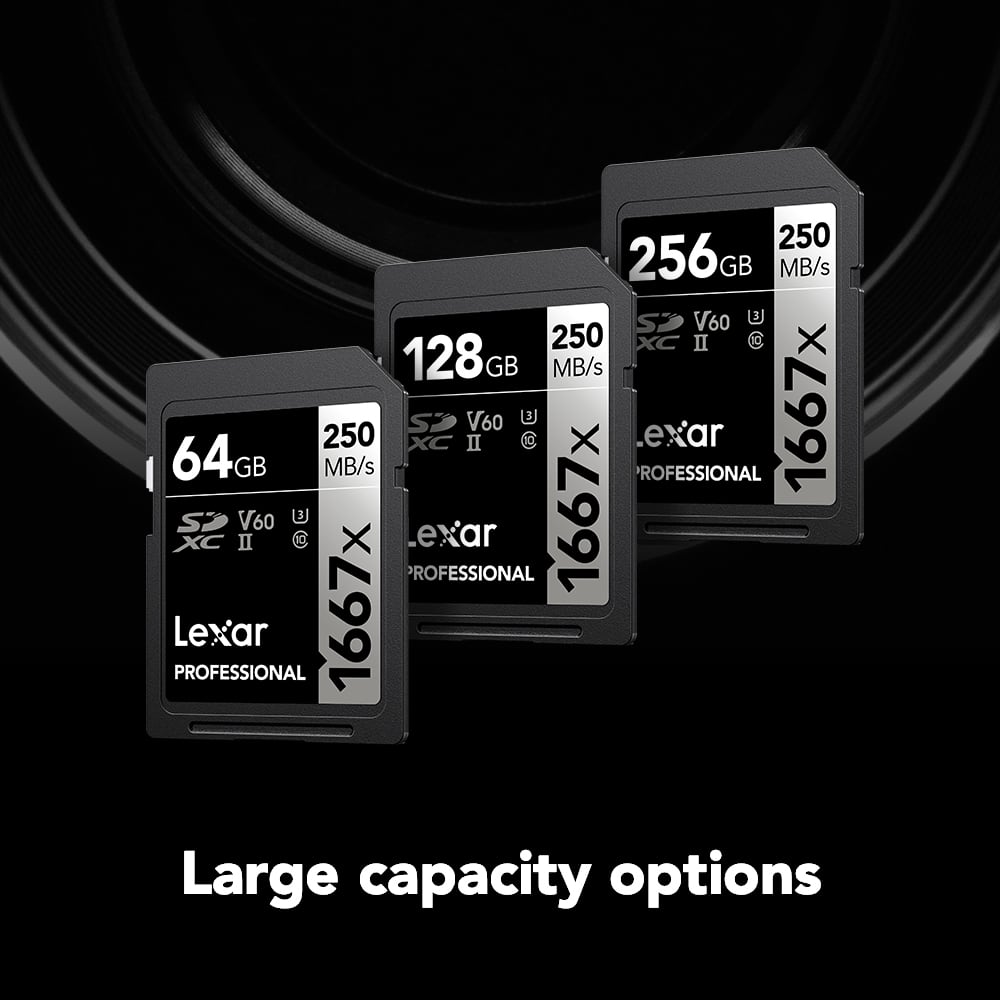 Lexar - Professional SDXC 1667X UHS-II, V60 64 GB