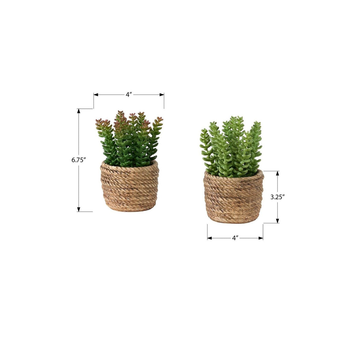 Suculenta artificial, decoración de mesa (juego de 2) - Verde / Marrón claro - Plástico