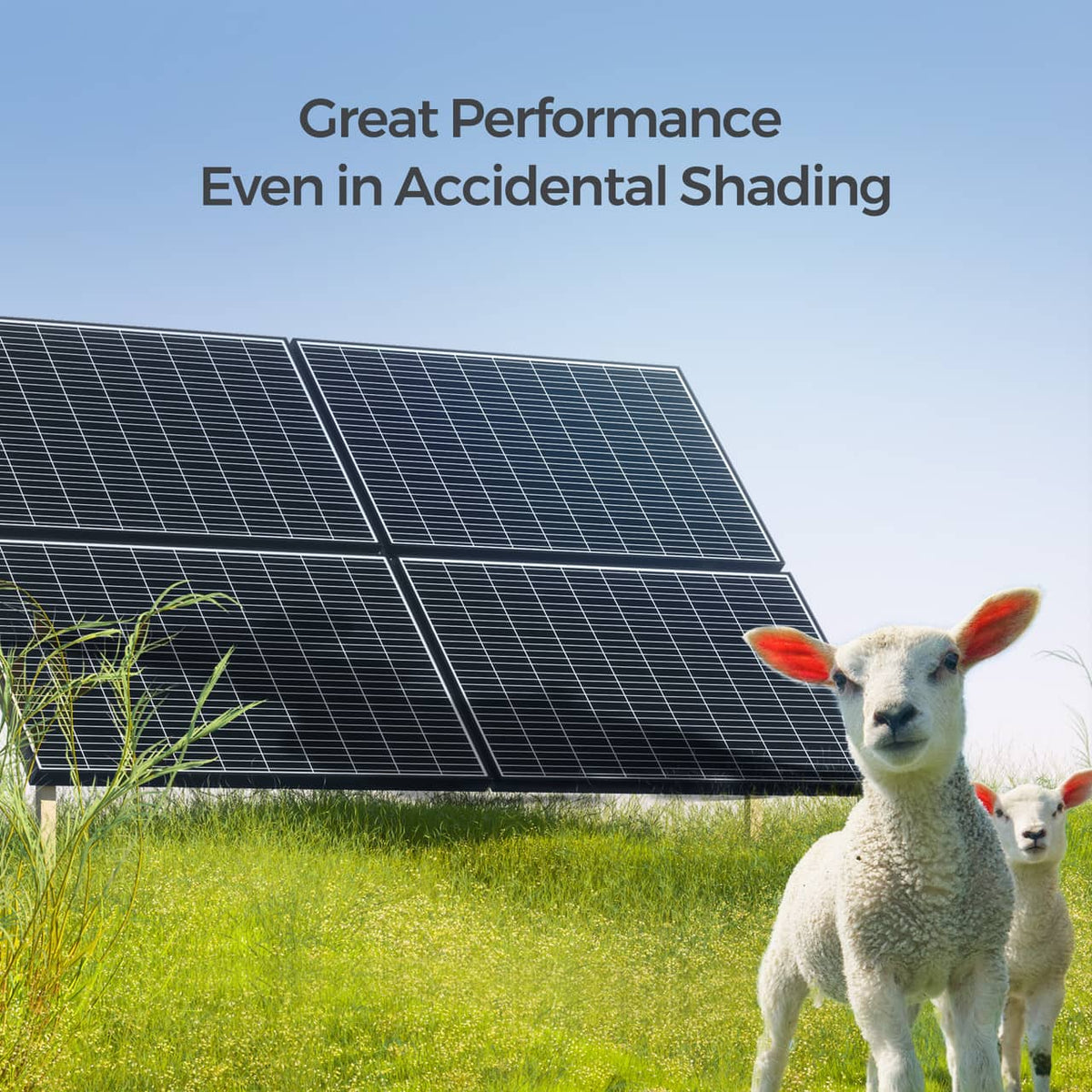 Renogy - 6pcs 320W Solar Panel 24V Monocrystalline On/Off Grid 1920W for RV Farm Home Rooftop Residential Commercial House - Black