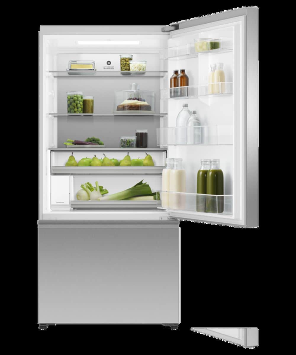 Fisher & Paykel - 32 in. Wide 18.2 Cu. Ft. Bottom Mount Freezer Freestanding Refrigerator with Ice - Stainless Steel