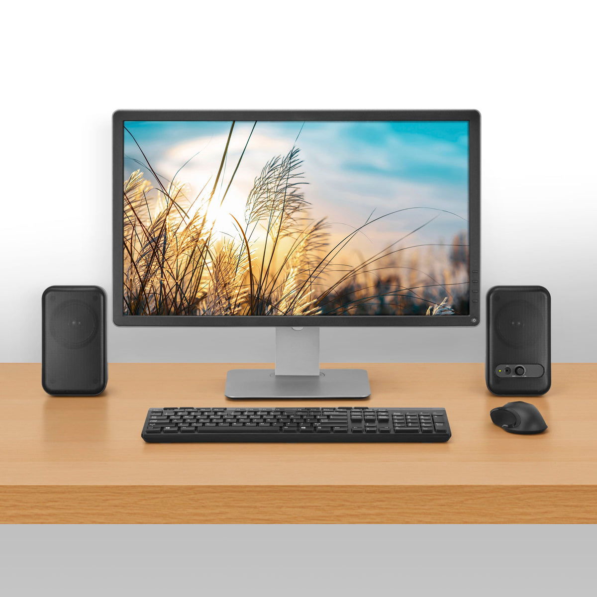 Insignia™ - 2.0 Computer Speakers (2-Piece) - Black